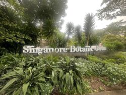 Duchess Residences (D10), Condominium #491525941